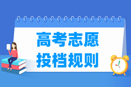 2023湖北高考志愿投档规则