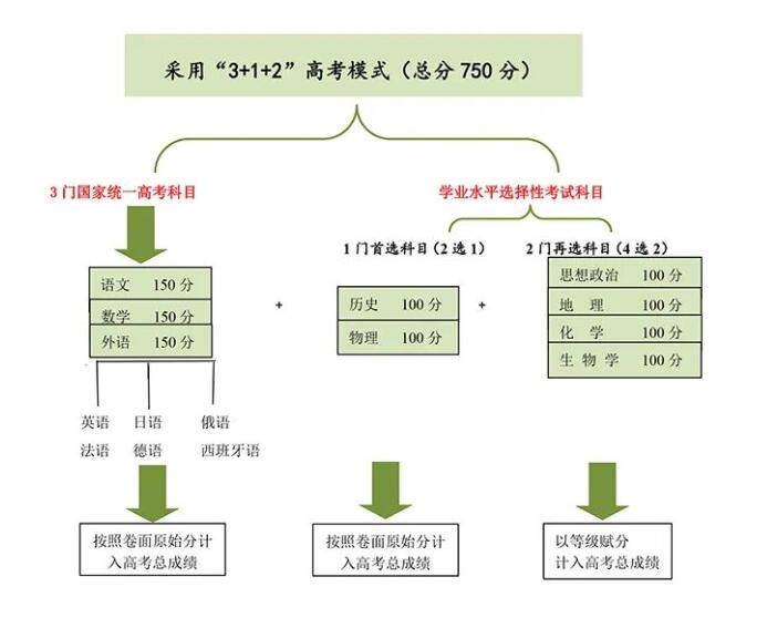 青海新高考选科组合有哪些